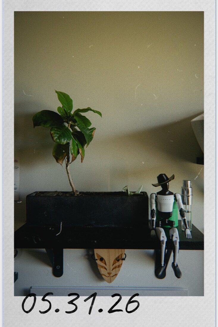 A young coffee plant seedling on a shelf next to the little robot in a cowboy hat.