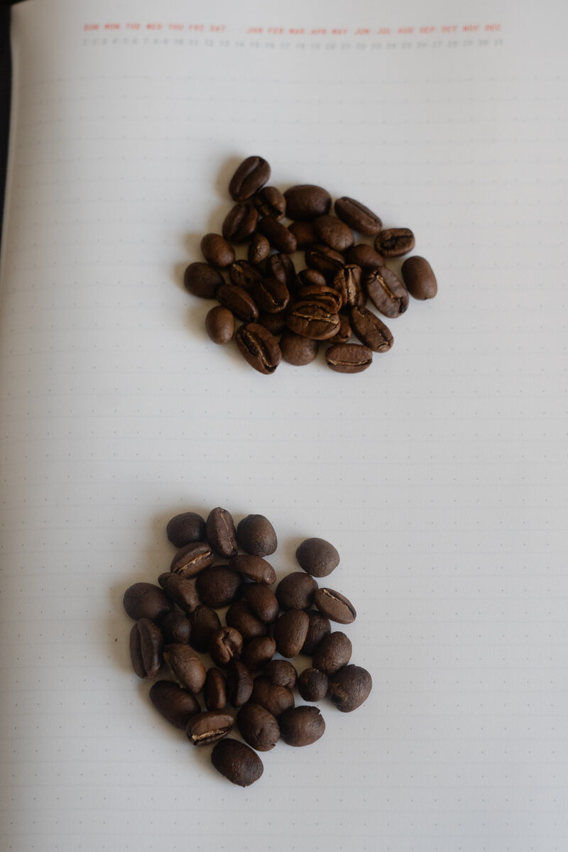 Two small piles of roasted beans on a dotted notebook, compared side by side.