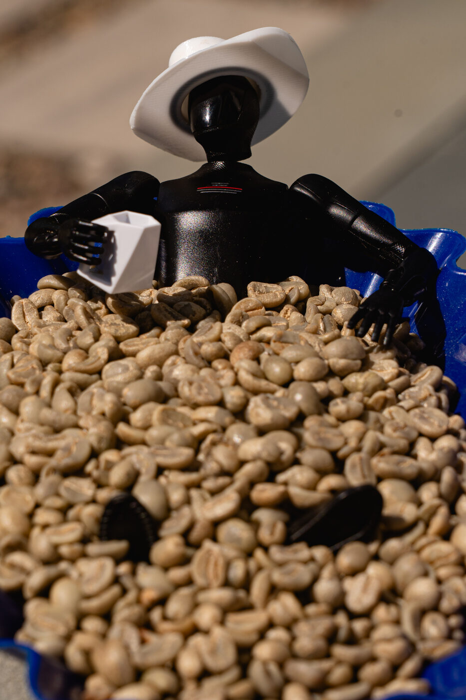 A small humanoid robot in a cowboy hat sitting in a blue tray full of green, unroasted coffee beans.