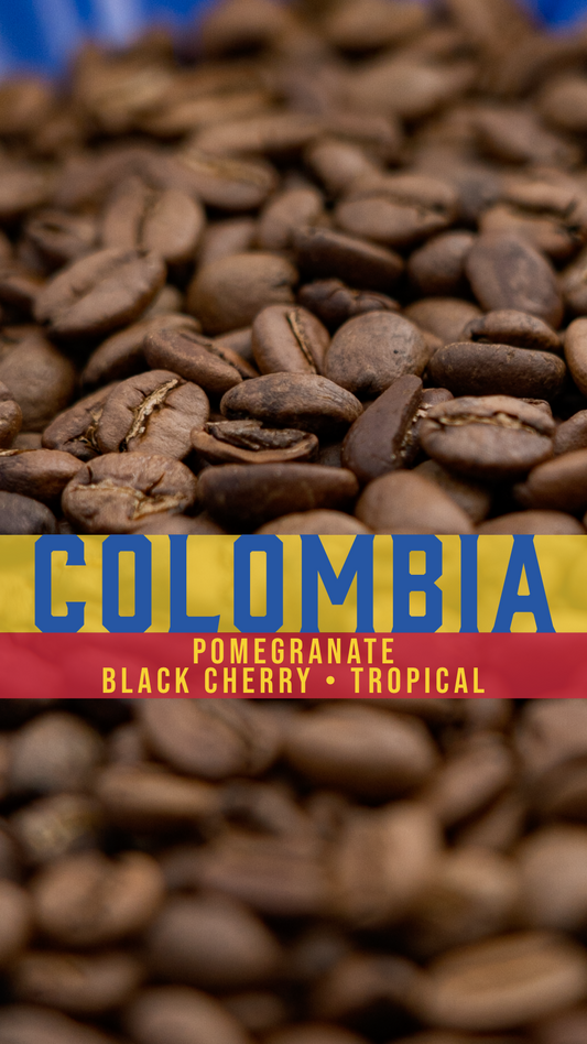 SP 059-005 Colombia - 168hr Fermented